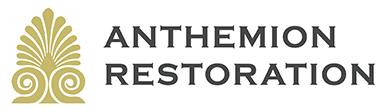 Anthemion Logo
